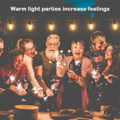 LED户外灯 - 单色灯串